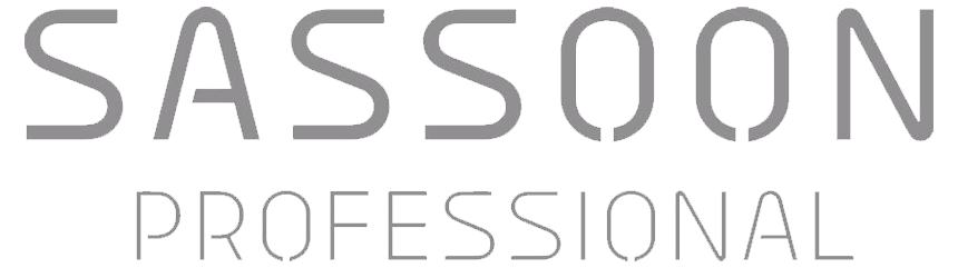 sebastian-professional-logo